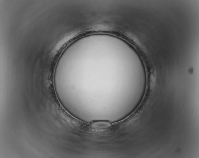 X0000116461213200912231354