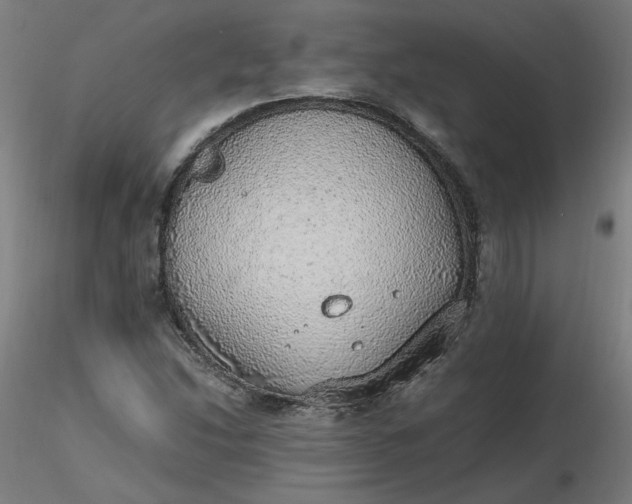X0000116461214200912231354