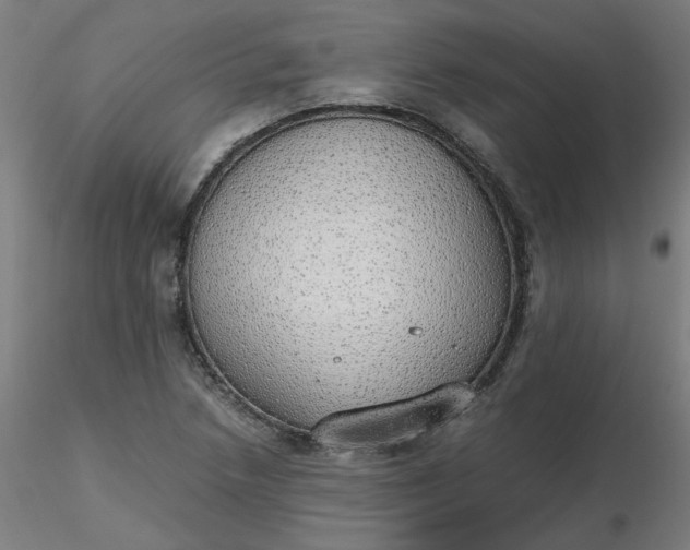 X0000116461218200912231354
