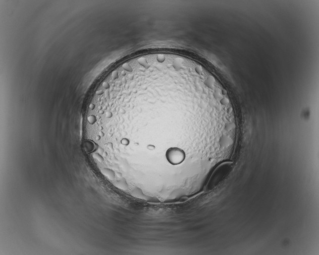 X0000116461221200912231354