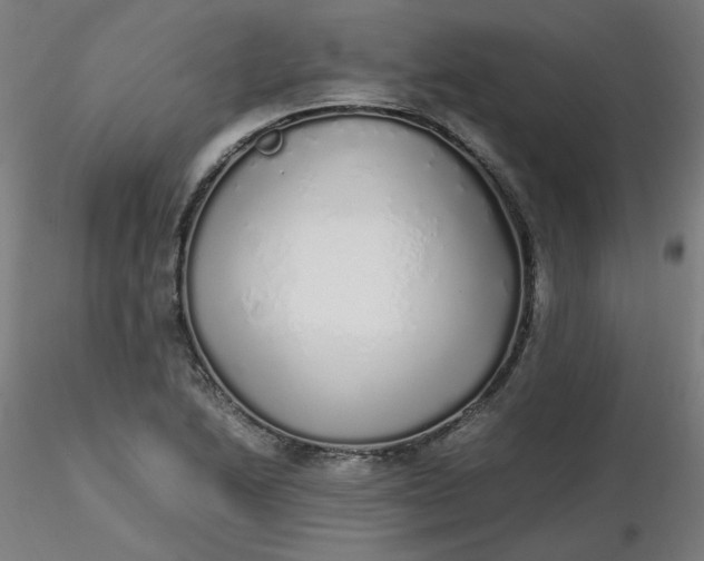 X0000116461222200912231354