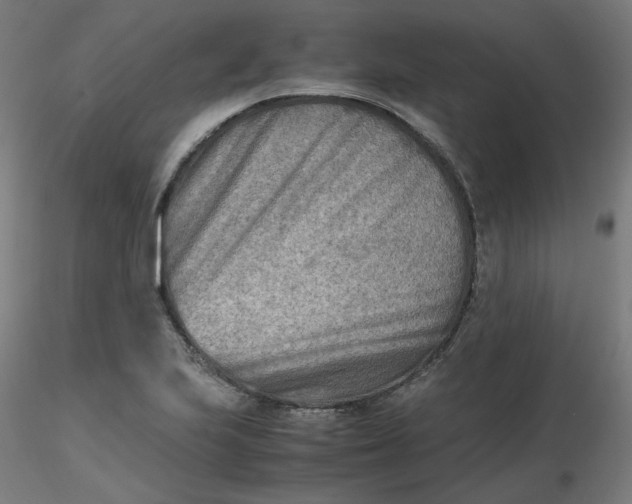 X0000116461223200912231354