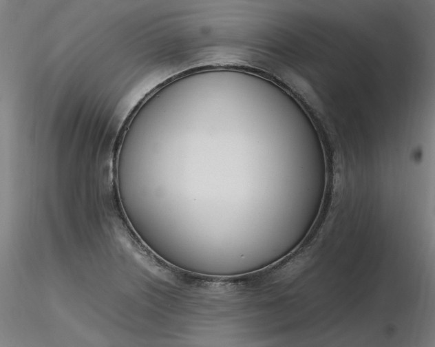X0000116461226200912231354