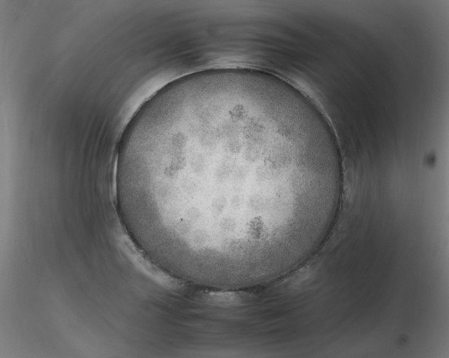 X0000116461227200912231354
