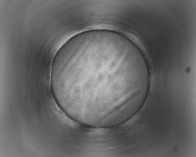 X0000116461228200912231354