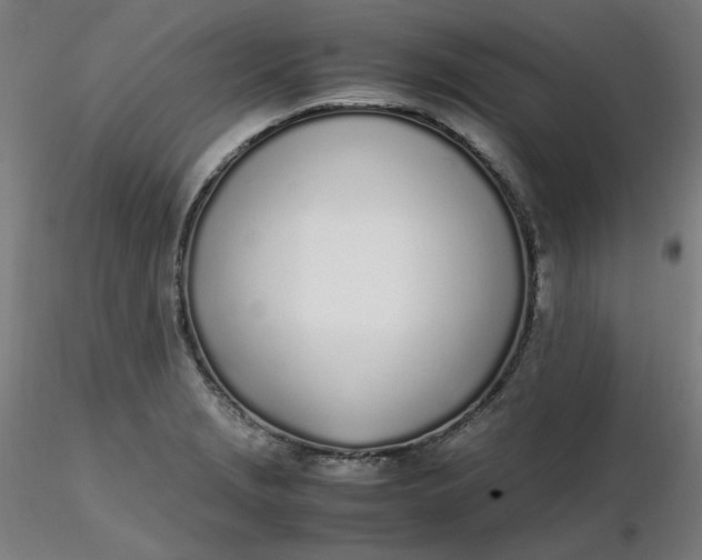 X0000116461229200912231354