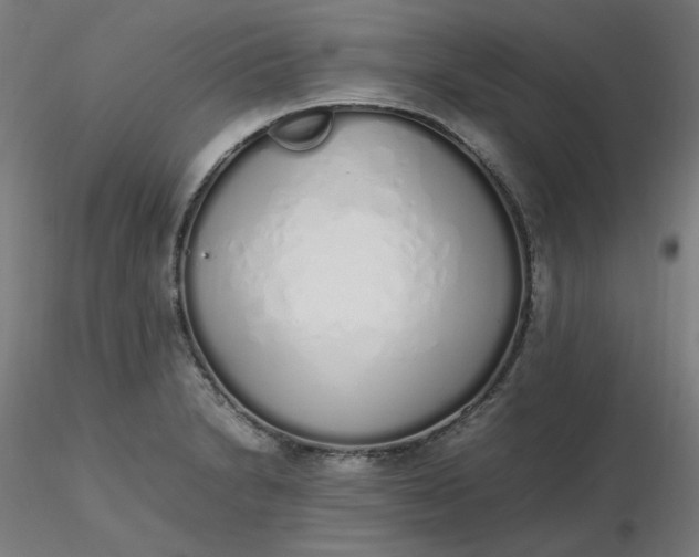 X0000116461230200912231354