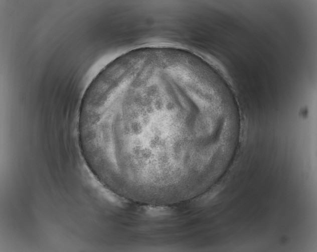 X0000116461231200912231354