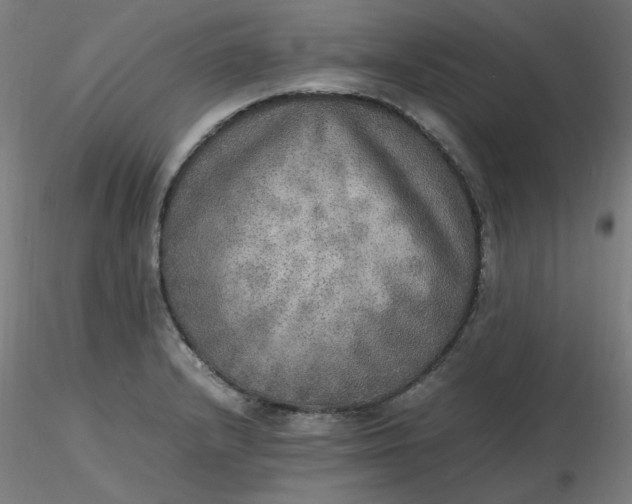 X0000116461232200912231354
