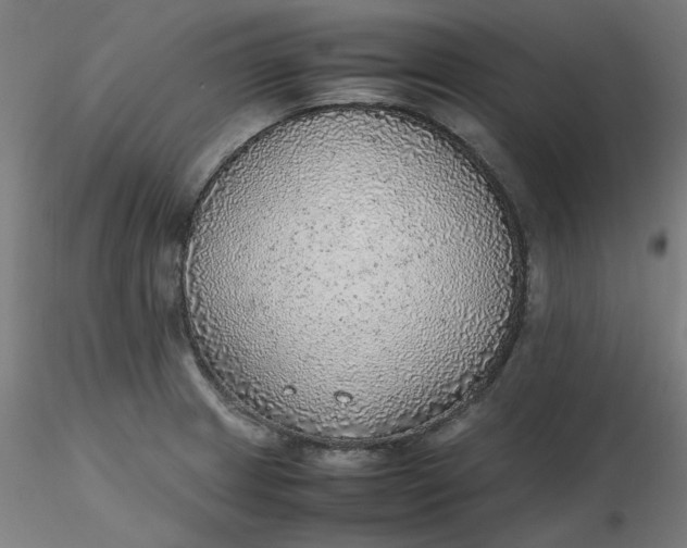 X0000116461233200912231354