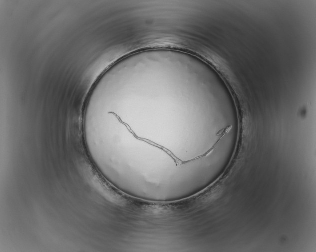 X0000116461234200912231354