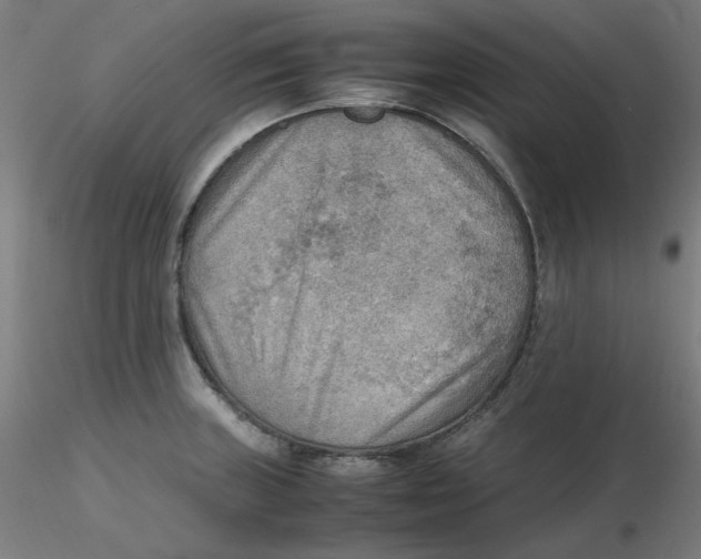 X0000116461235200912231354