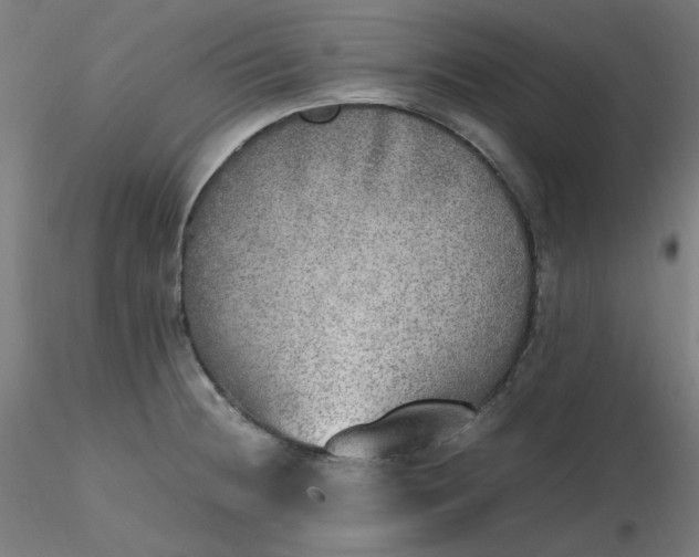 X0000116461236200912231354