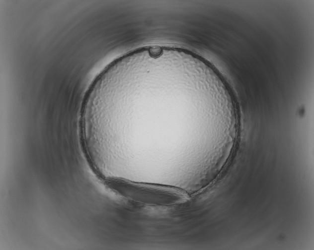 X0000116461237200912231354