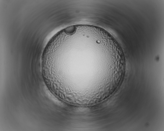 X0000116461238200912231354