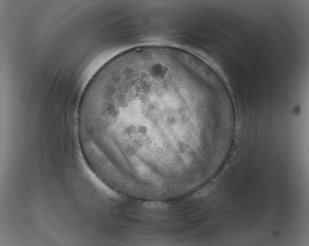 X0000116461239200912231354