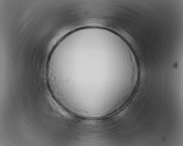 X0000116461240200912231354