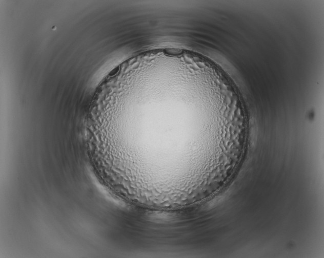 X0000116461241200912231354