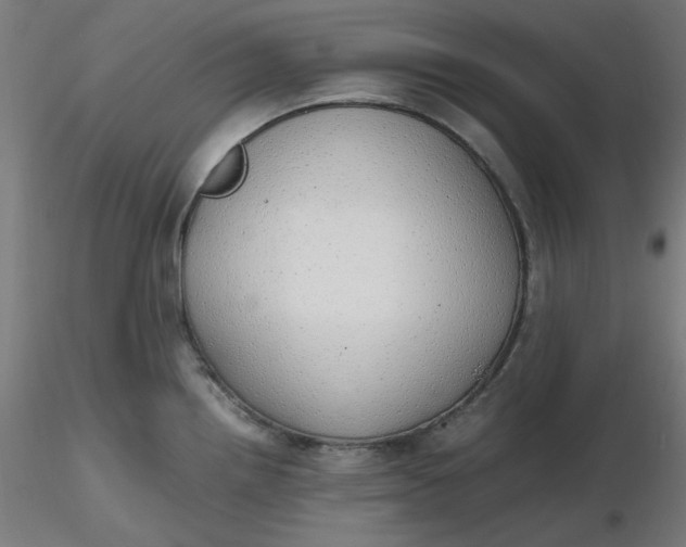 X0000116461242200912231354