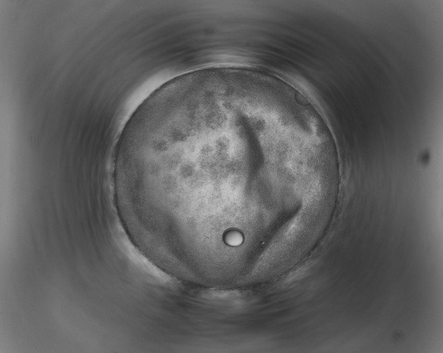 X0000116461243200912231354
