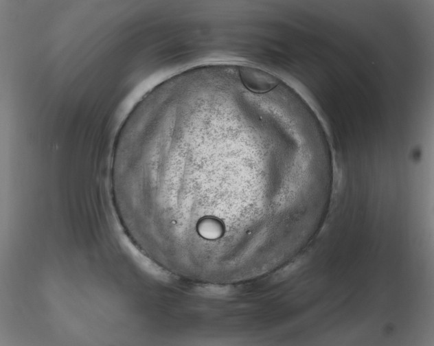 X0000116461245200912231354