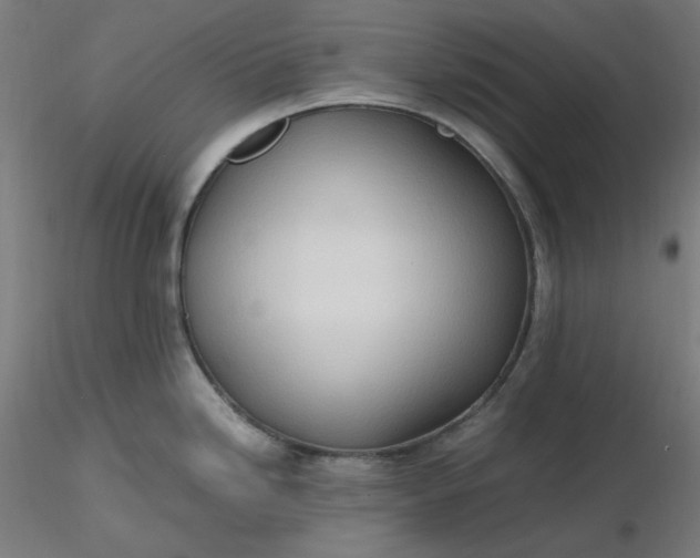 X0000116461246200912231354