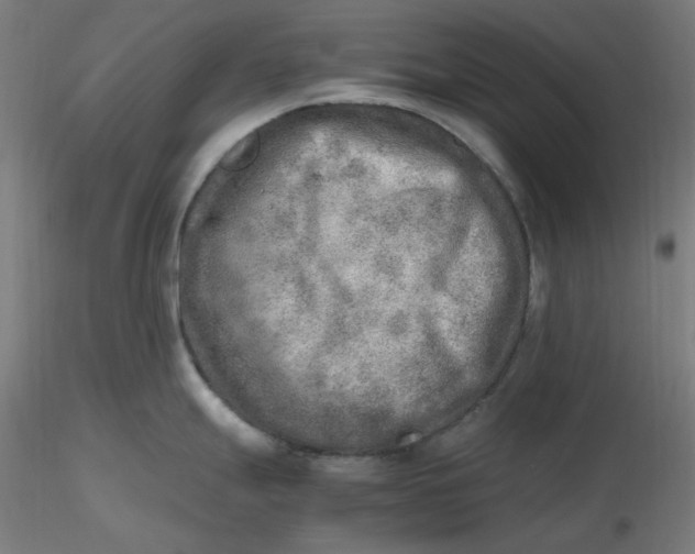 X0000116461247200912231354