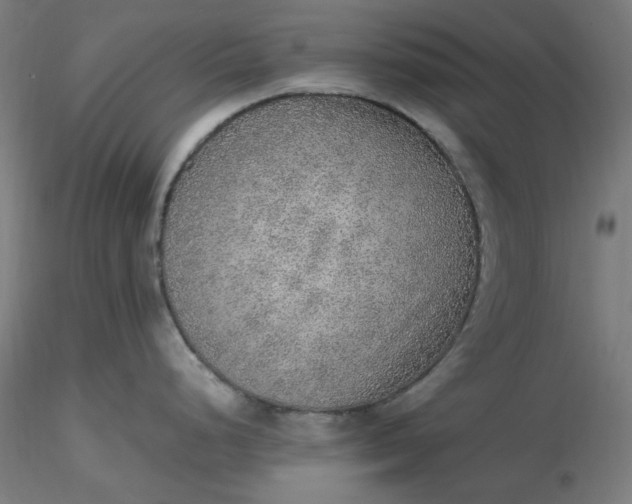 X0000116461248200912231354