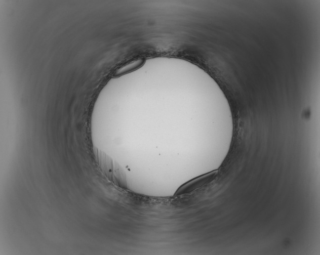 X0000116461249200912231353