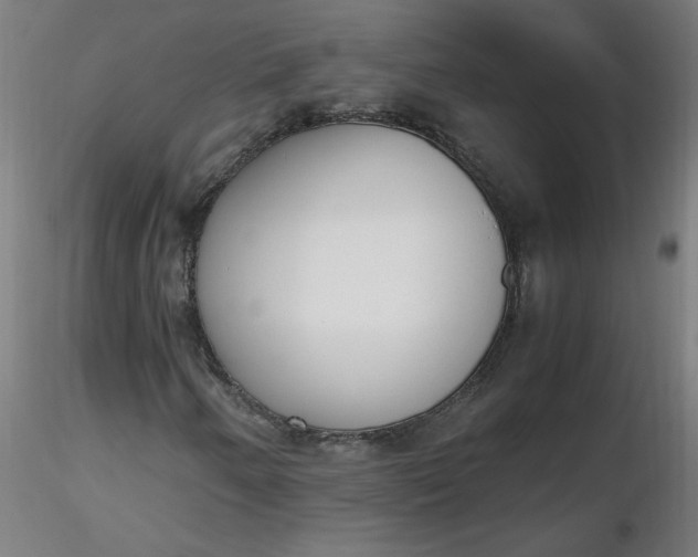 X0000116461250200912231353