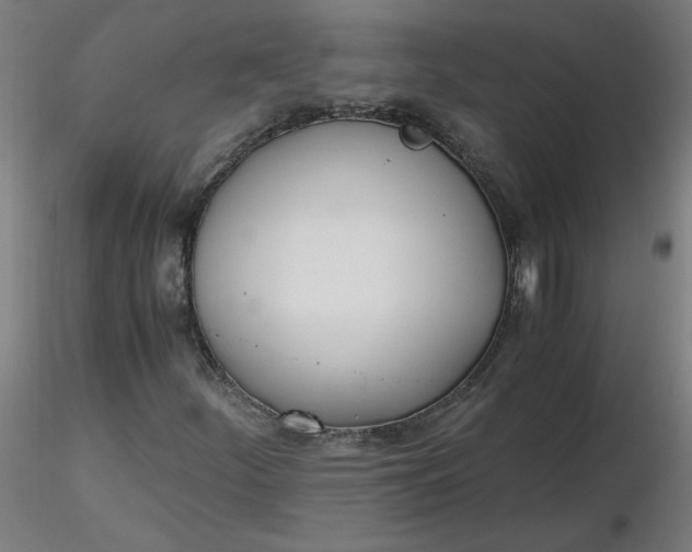 X0000116461252200912231353
