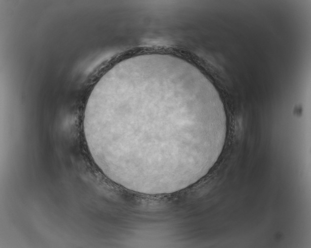 X0000116461254200912231353