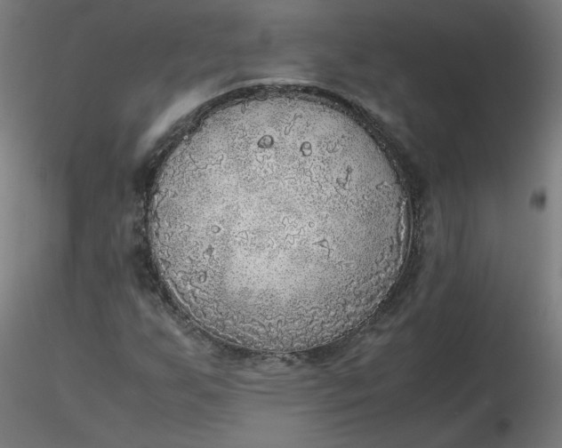 X0000116461255200912231353