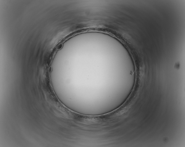 X0000116461257200912231353