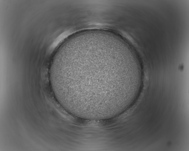X0000116461259200912231353