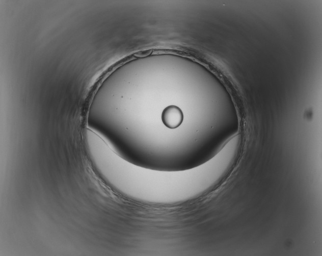 X0000116461260200912231353