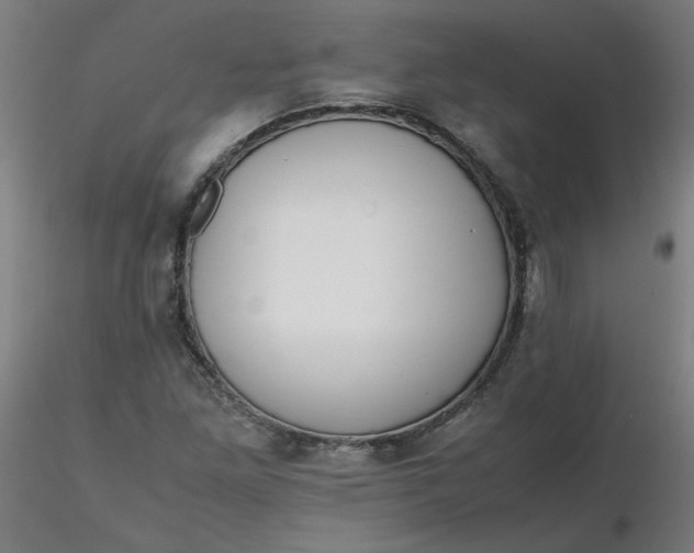 X0000116461261200912231353
