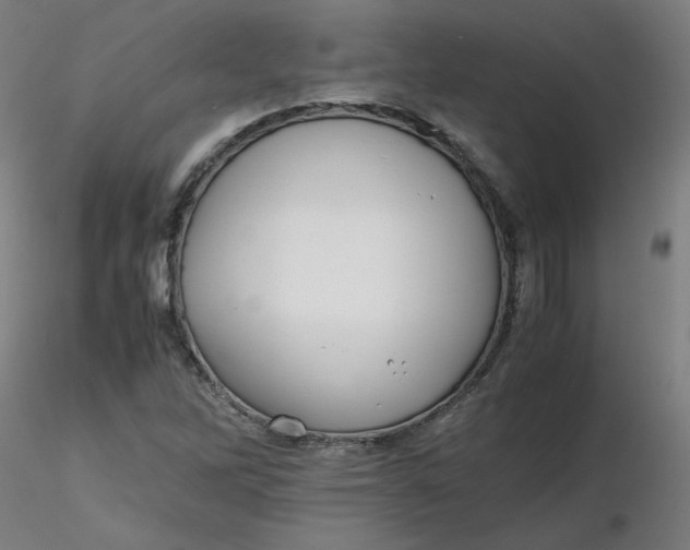 X0000116461262200912231353