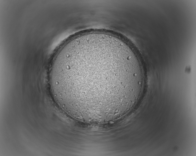 X0000116461263200912231353