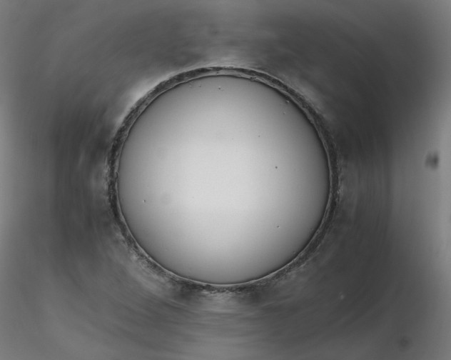 X0000116461264200912231353