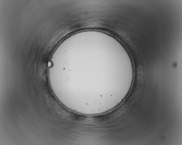 X0000116461265200912231353