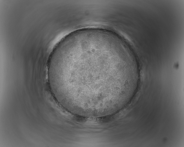 X0000116461267200912231353