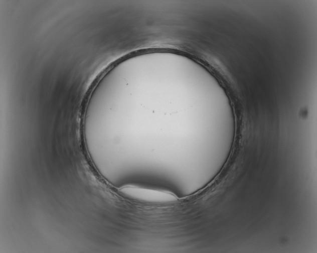 X0000116461268200912231353