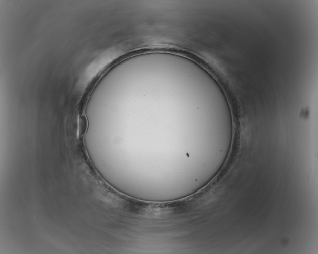 X0000116461269200912231353