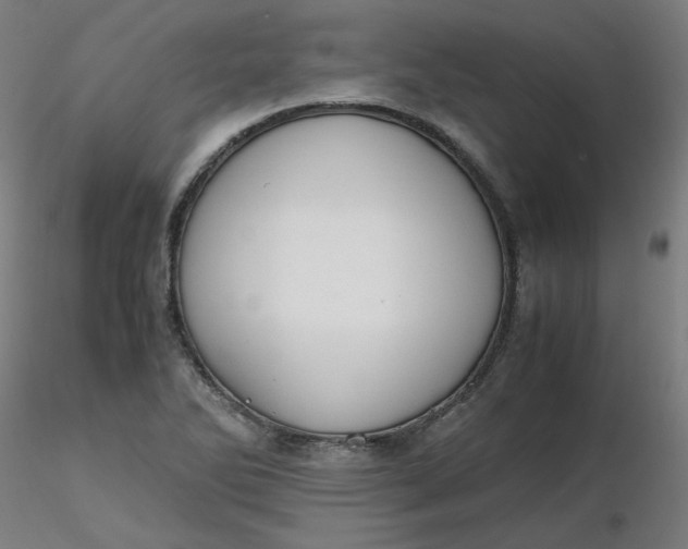 X0000116461270200912231353