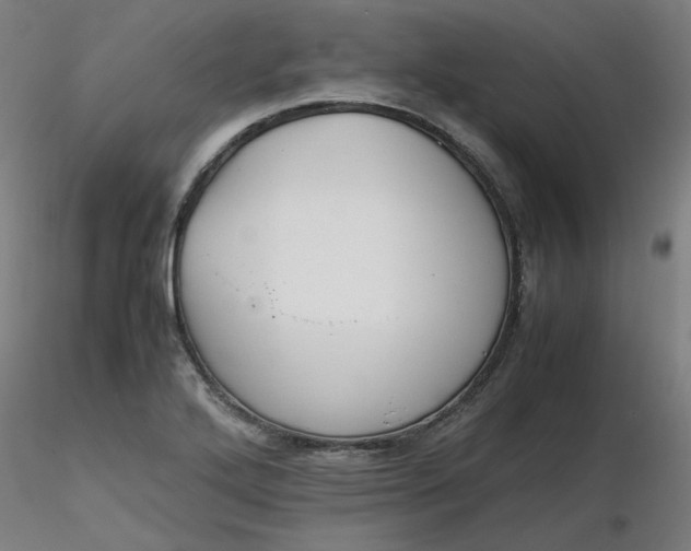 X0000116461272200912231353