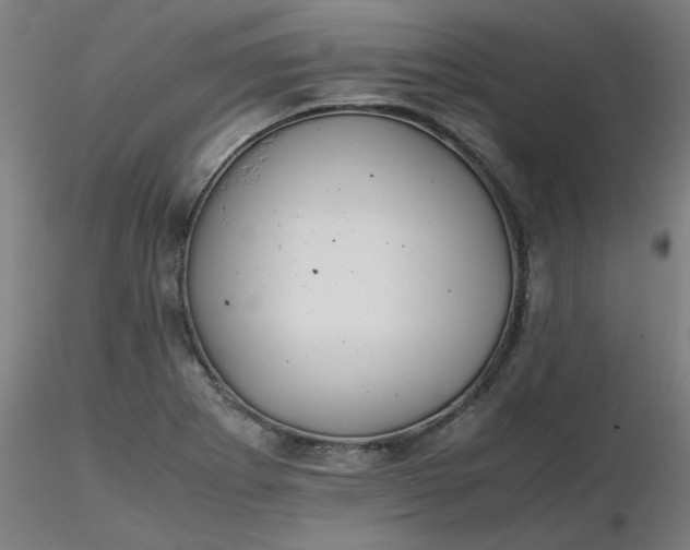 X0000116461273200912231353