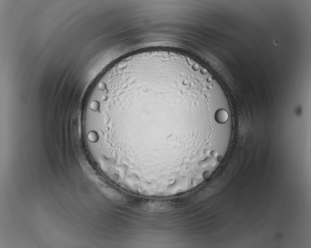 X0000116461274200912231353