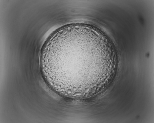 X0000116461275200912231353