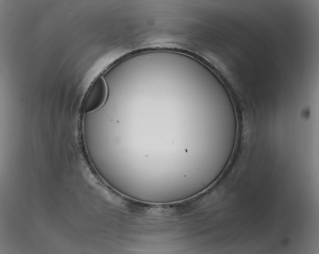 X0000116461277200912231353